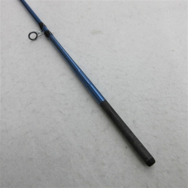 サーフリーダーＥＶＳＦ４２５ＣＸ